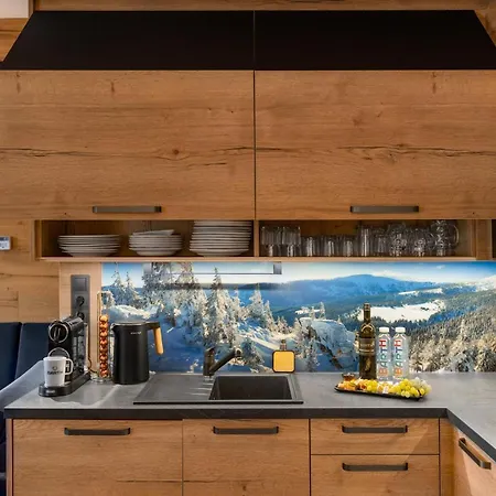 Barth - Apartment Spindleruv Mlyn