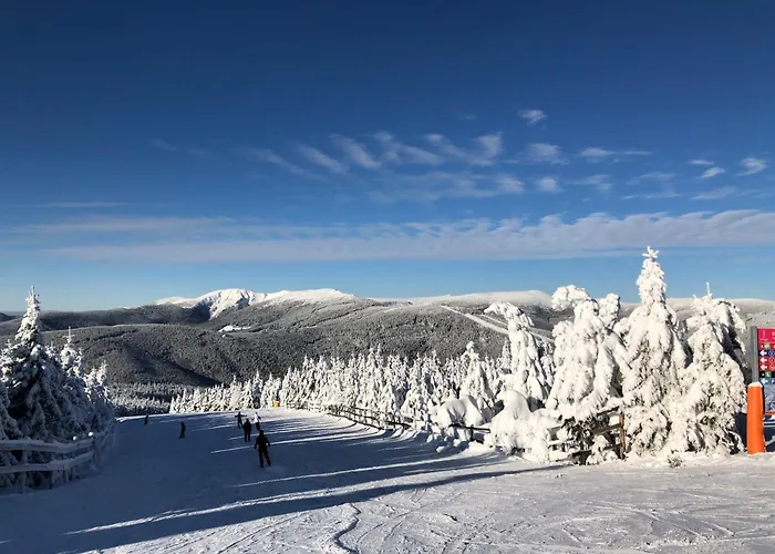 Barth - Apartment Spindleruv Mlyn